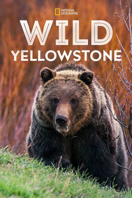 Vahşi Yolculuk: Yellowstone dizi posteri