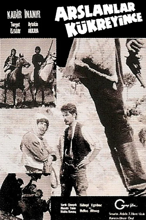 Aslanlar Kükreyince film posteri