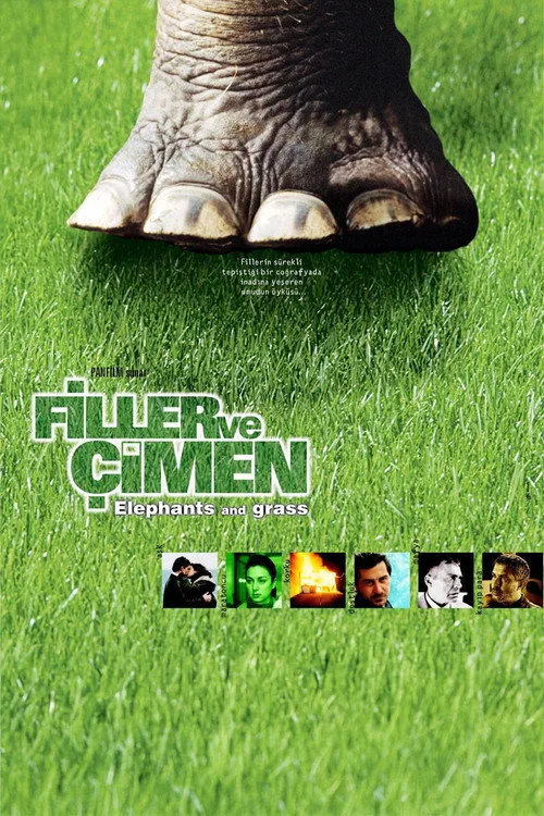 Filler ve Çimen film posteri