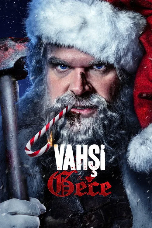 Vahşi Gece film posteri