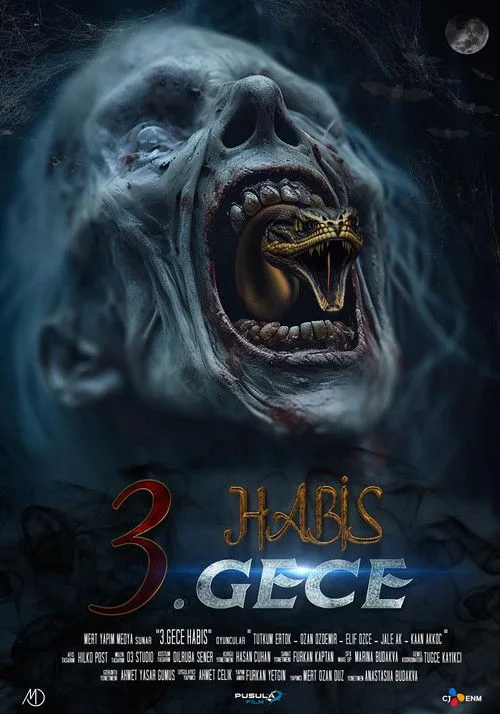 3. Gece Habis film posteri