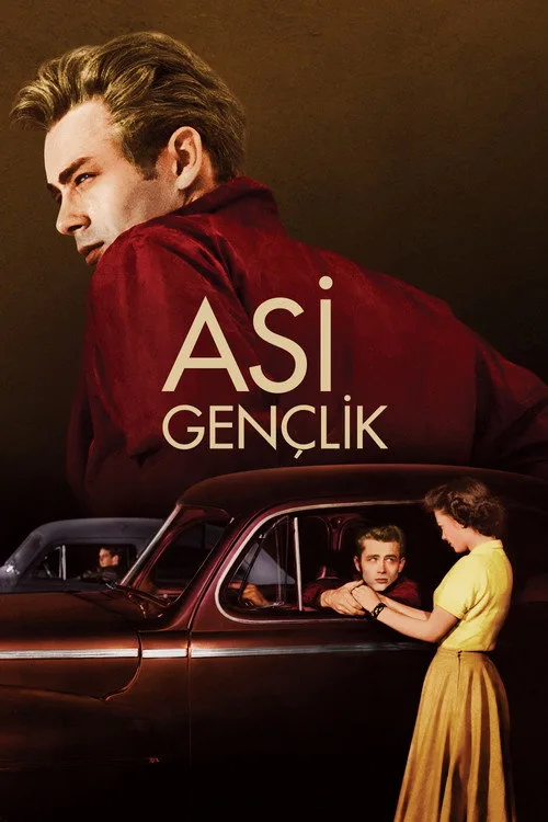 Asi Gençlik film posteri