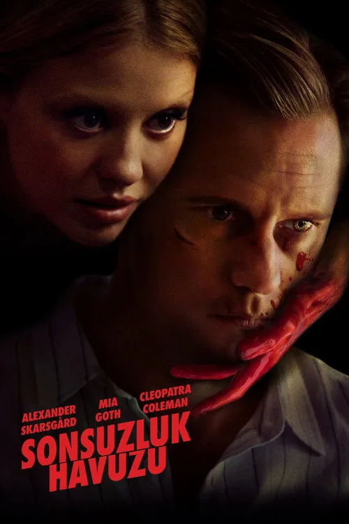 Sonsuzluk Havuzu film posteri