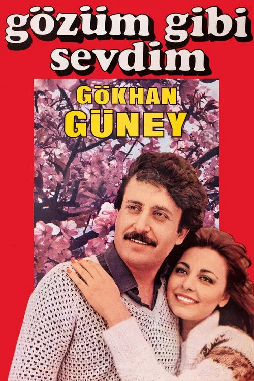 Gözüm Gibi Sevdim film posteri