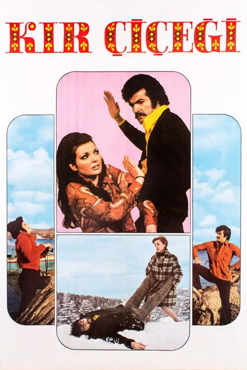 Kır Çiçeği film posteri