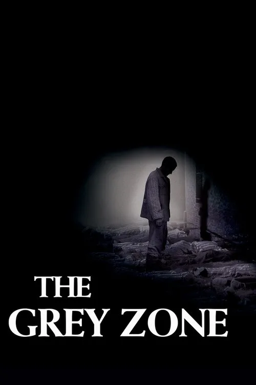 Gri Bölge film posteri
