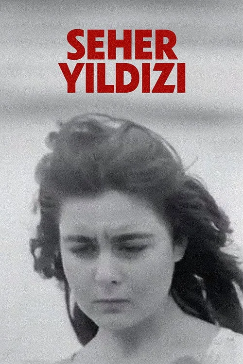 Seher Yıldızı film posteri