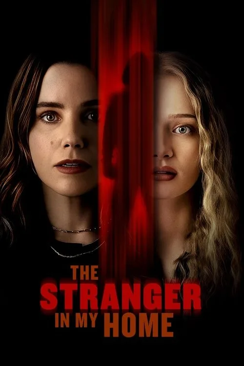 Evimdeki Yabancı film posteri