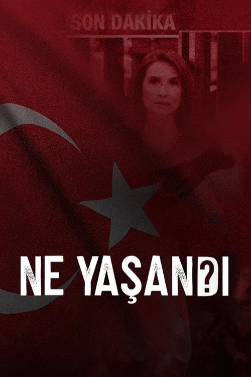 Ne Yaşandı? dizi posteri