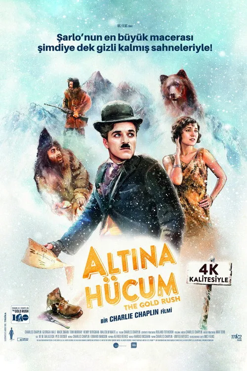 Altına Hücum film posteri