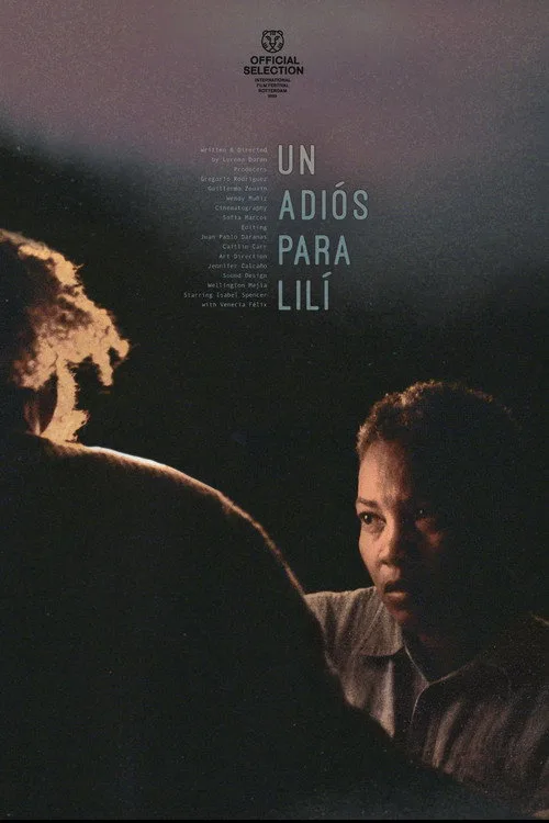 Un adiós para Lilí film posteri