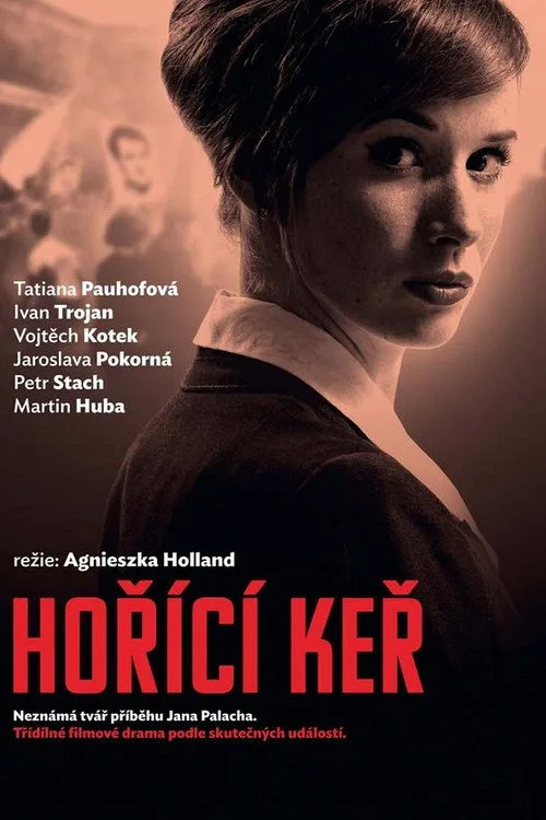 Devrim Ateşi dizi posteri