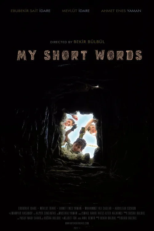 Benim Küçük Sözlerim film posteri