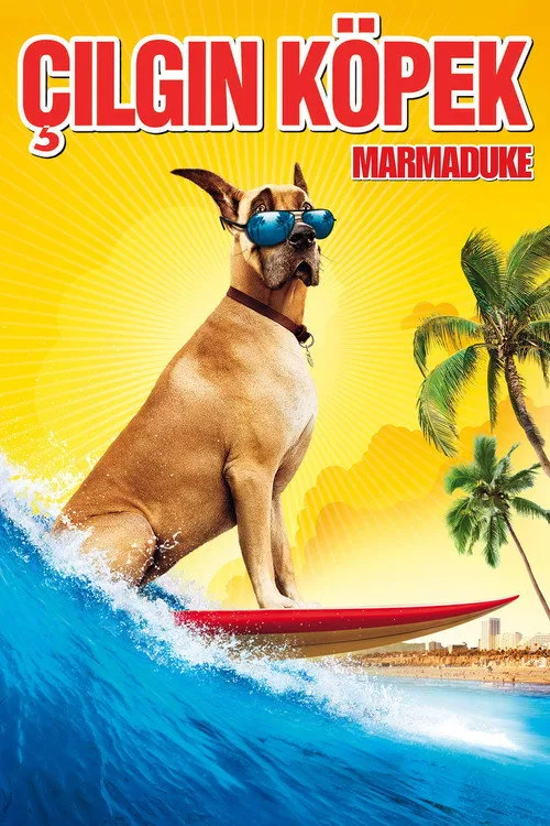 Çılgın Köpek film posteri