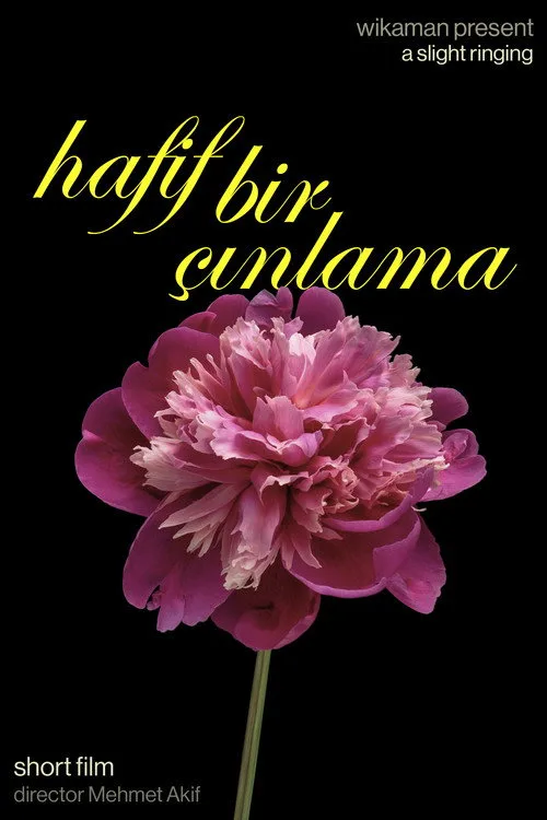 Hafif Bir Çınlama film posteri