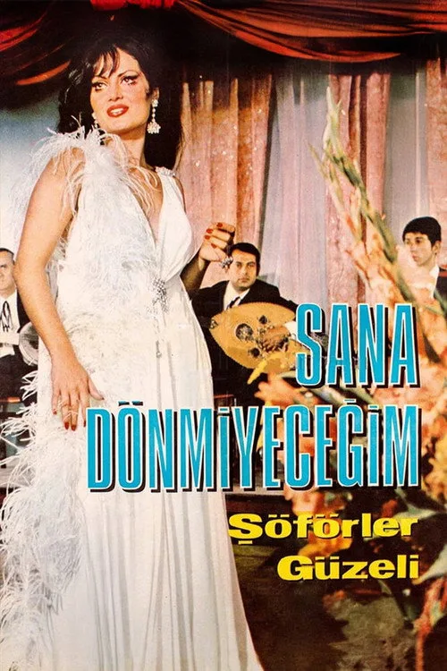 Sana Dönmeyeceğim film posteri
