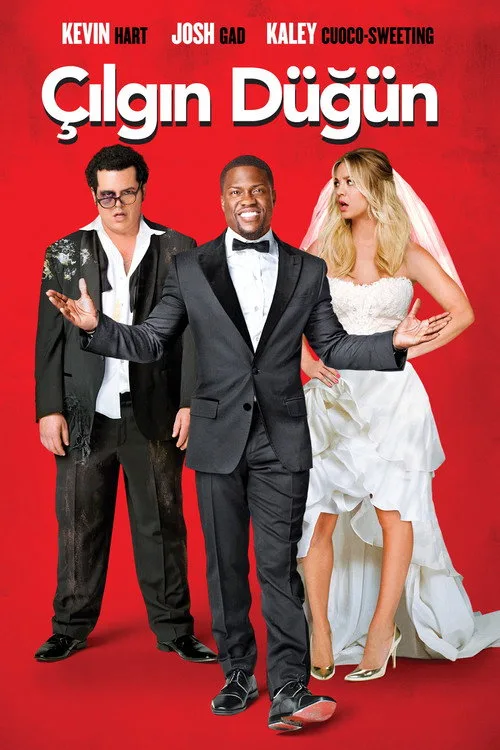 Çılgın Düğün film posteri