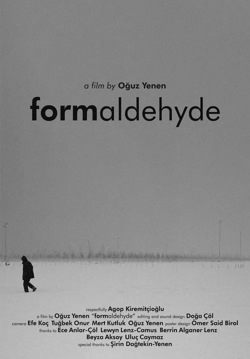 Formaldehyde film posteri