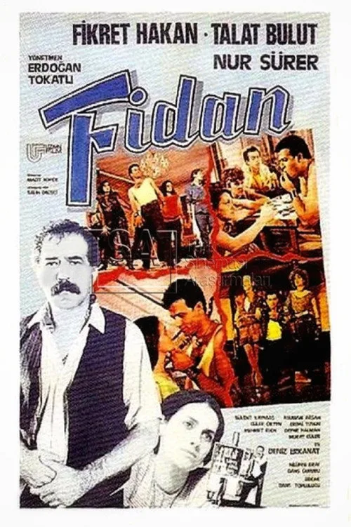 Fidan film posteri