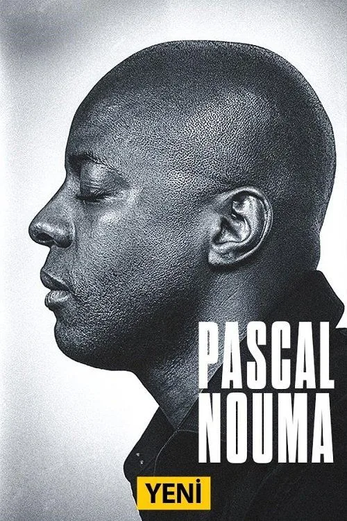 Pascal dizi posteri