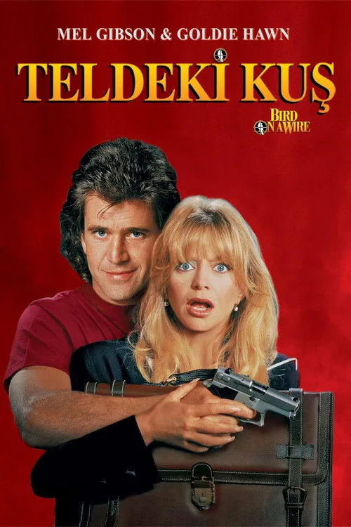 Teldeki Kuş film posteri