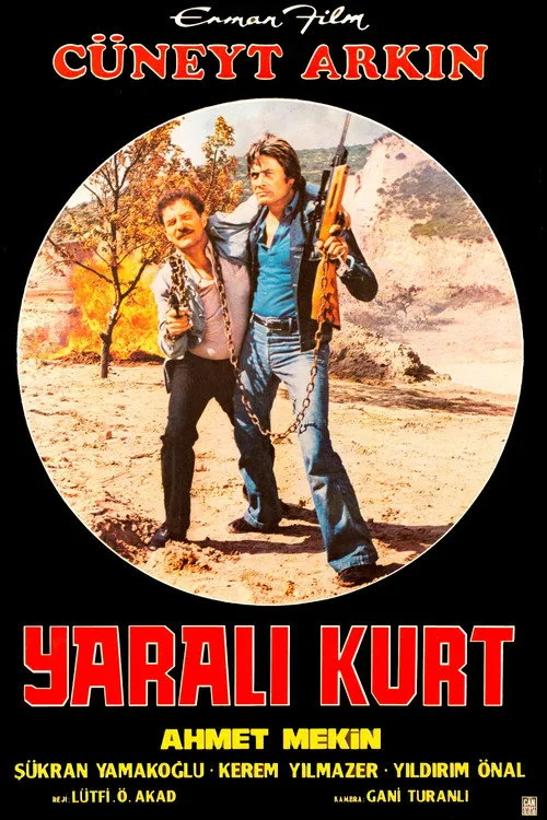 Yaralı Kurt film posteri