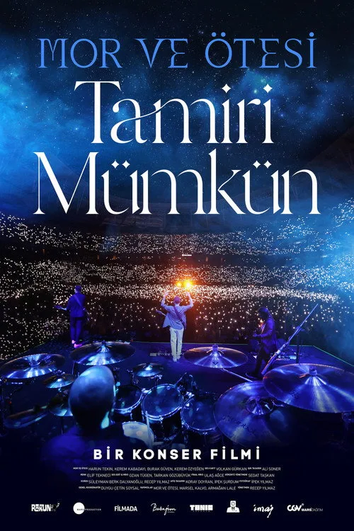 Mor ve Ötesi: Tamiri Mümkün film posteri