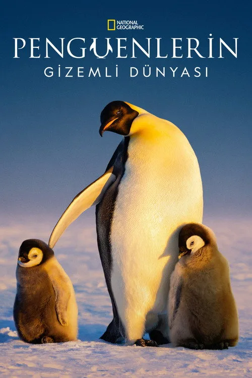 Penguenlerin Gizemli Dünyası dizi posteri