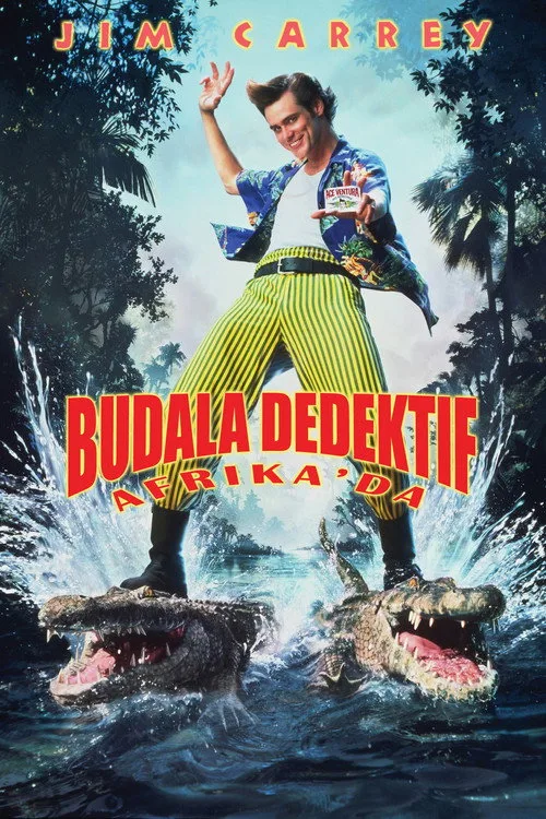 Budala Dedektif Afrika'da film posteri