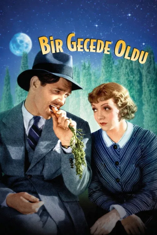 Bir Gecede Oldu film posteri