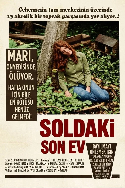 Soldaki Son Ev film posteri