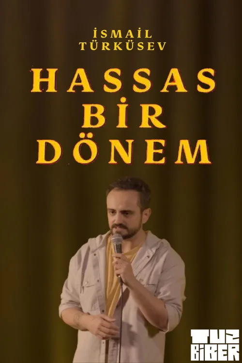 Hassas Bir Dönem - İsmail Türküsev film posteri