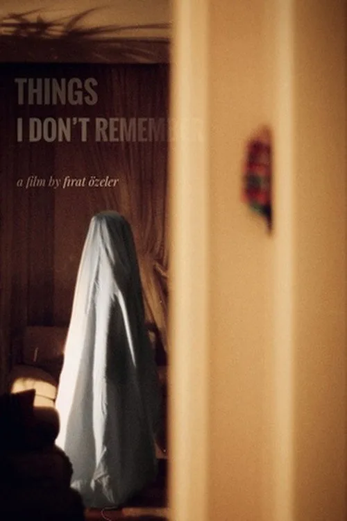 Hatırlamadığım Şeyler film posteri