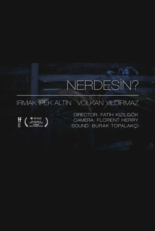 Nerdesin? film posteri