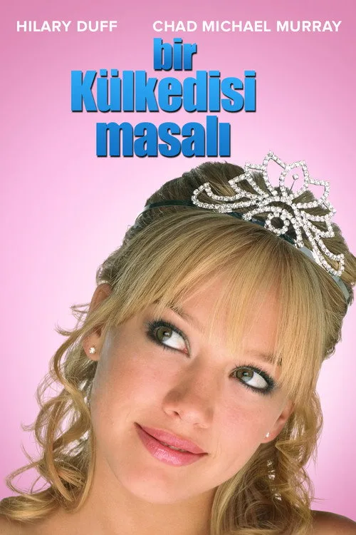 Bir Külkedisi Masalı film posteri