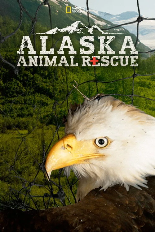 Alaska'nın Kahramanları dizi posteri