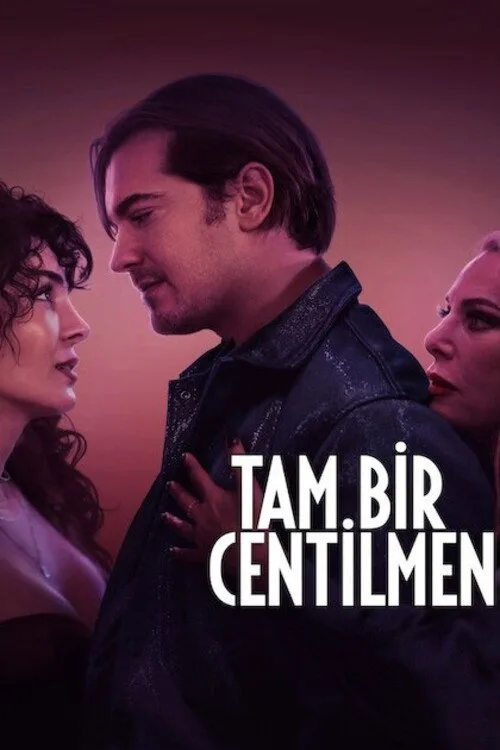 Tam Bir Centilmen film posteri