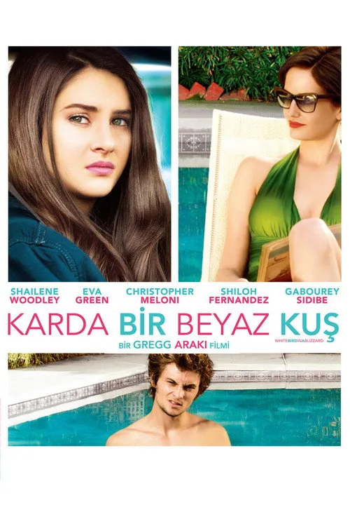 Karda Bir Beyaz Kuş film posteri