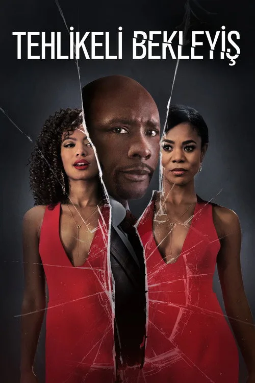 Tehlikeli Bekleyiş film posteri