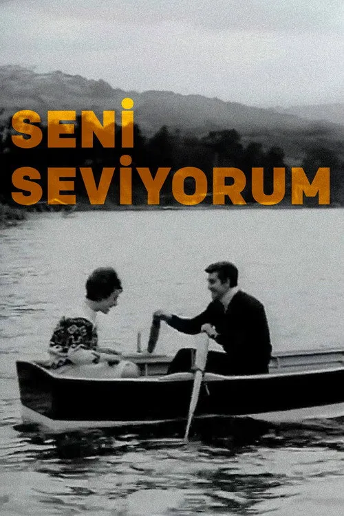 Seni Seviyorum film posteri