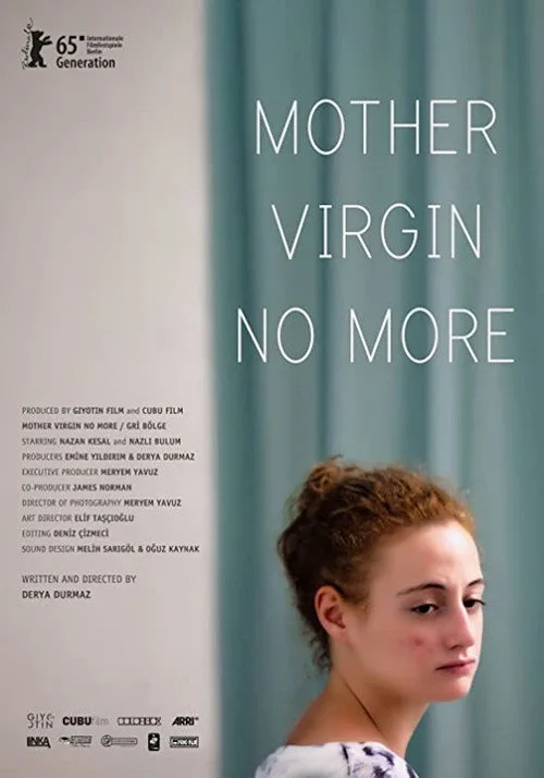 Gri Bölge film posteri