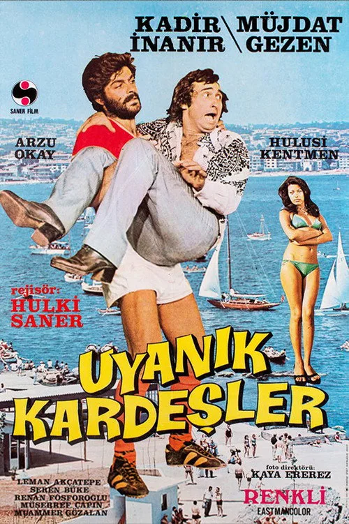 Uyanık Kardeşler film posteri
