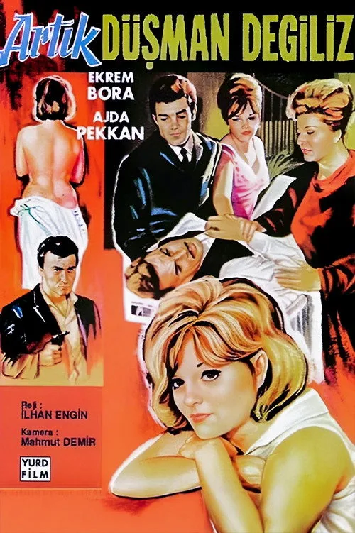 Artık Düşman Değiliz film posteri