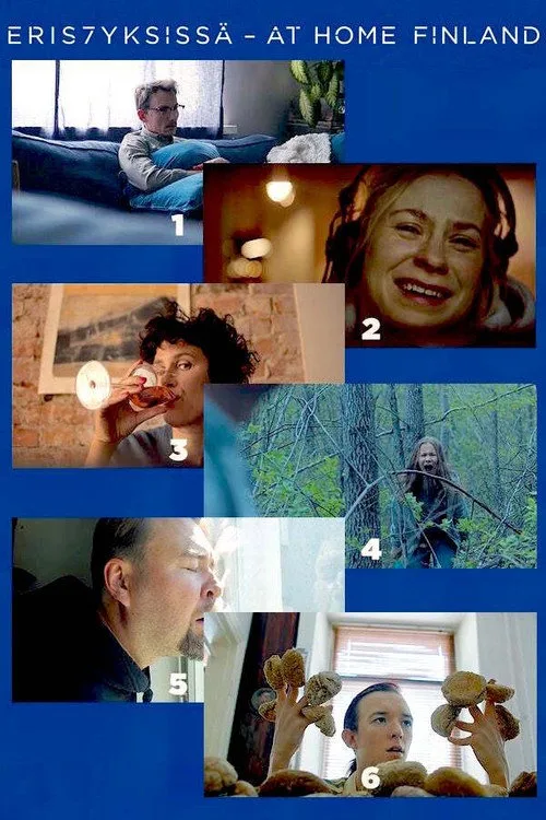 Eristyksissä (At Home Finland) dizi posteri