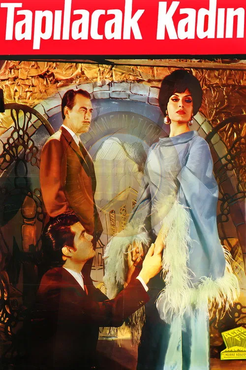 Tapılacak Kadın film posteri