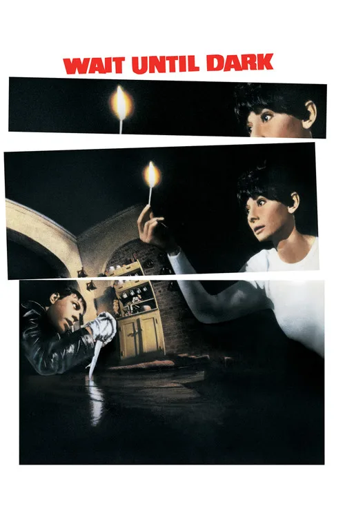 Karanlığa Kadar Bekle film posteri