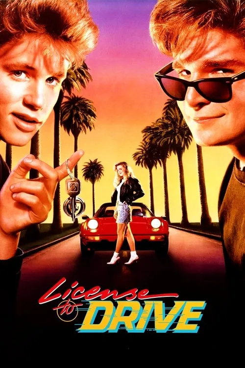 Şoför Ehliyeti film posteri
