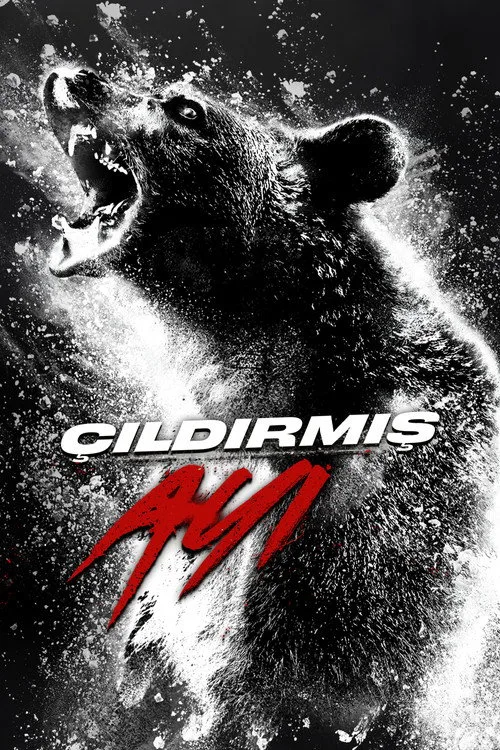 Çıldırmış Ayı film posteri