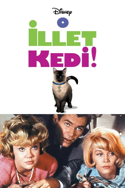 O İllet Kedi film posteri