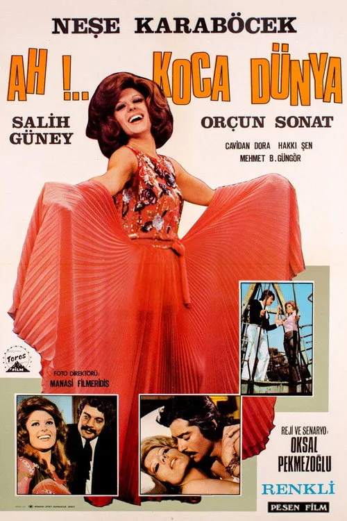 Ah Koca Dünya film posteri